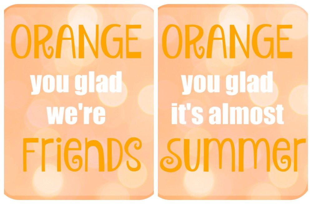 orange you glad it's summer gifts - Desert Chica