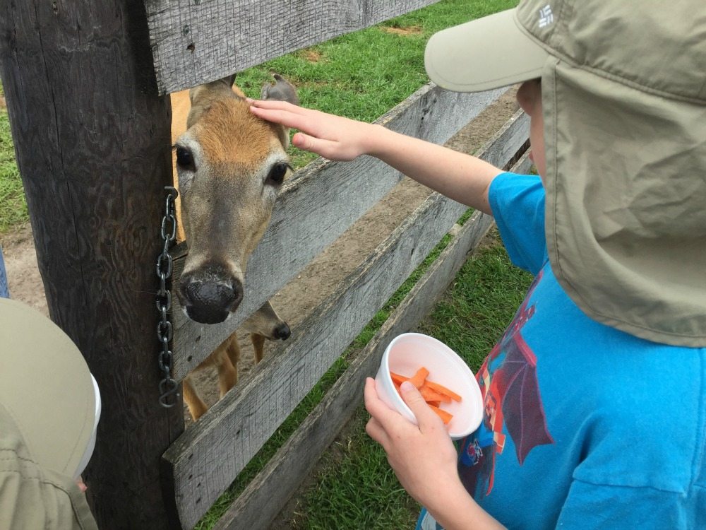 Dutch Creek Farm Animal Park