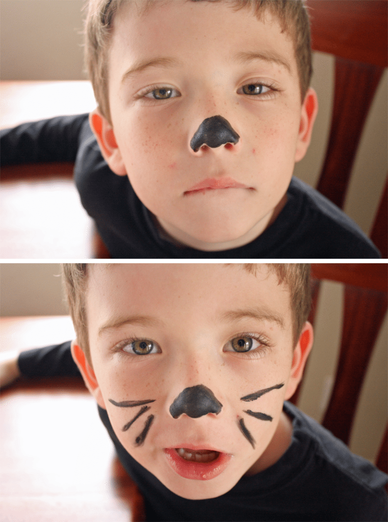 Easy Cat Burglar Costume Desert Chica