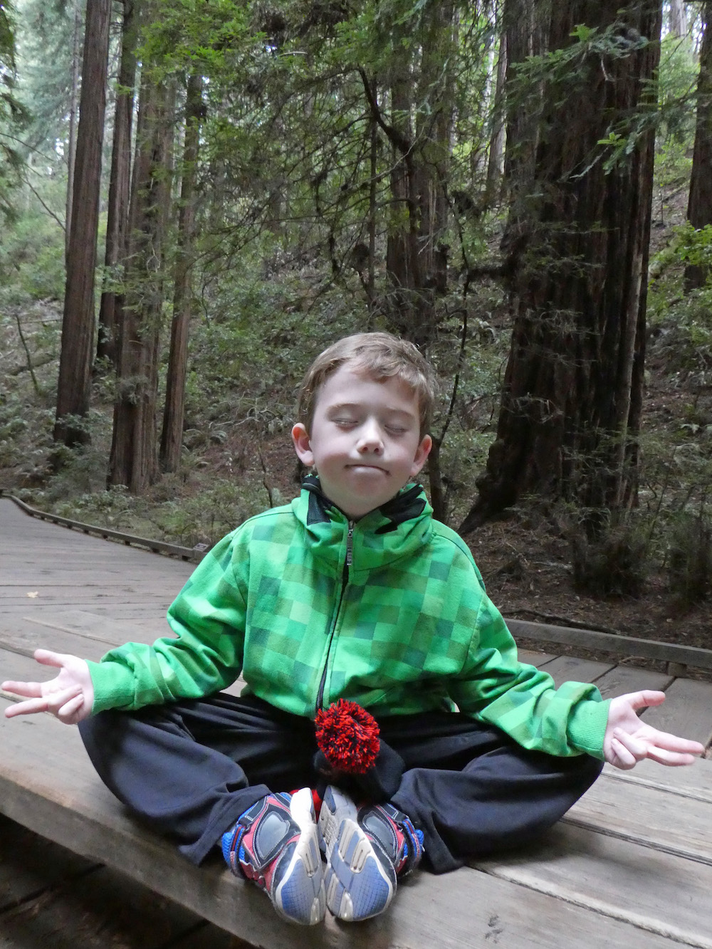 muir-woods-meditating