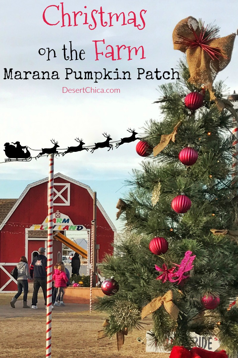 The newest holiday fun in Tucson is at Marana Christmas on the Farm and includes a train ride through Christmas lights and sledding!