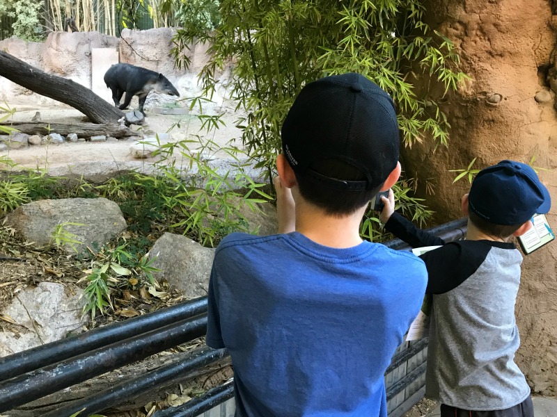 50 Things To Do In Tucson With Kids