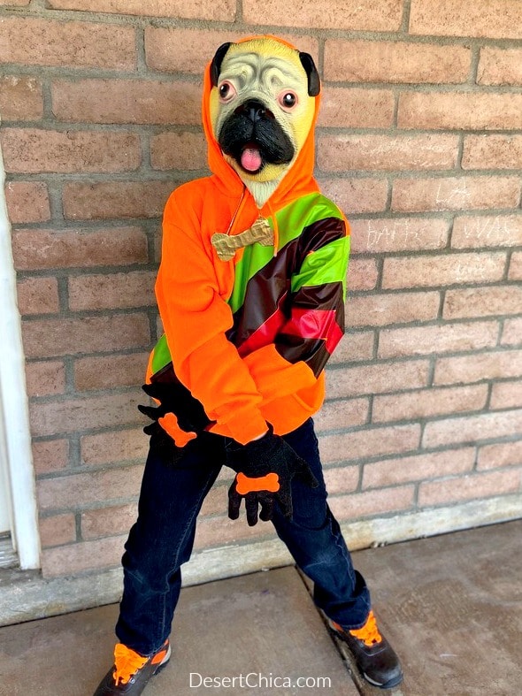 orange hoodie dog costume