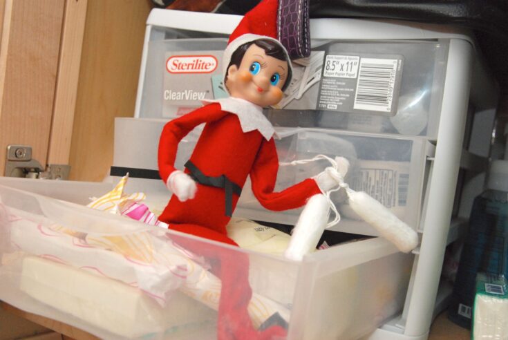 Image for Piggybank Robber Elf