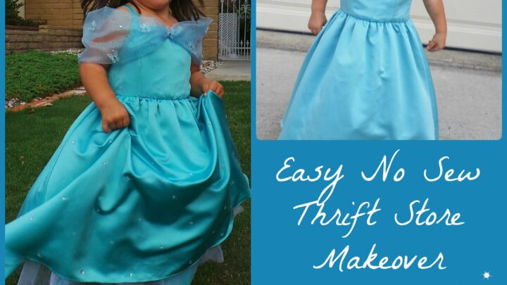 Image for DIY Cinderella Dress - DIY CInderella Costume - No Sew Cinderella dress