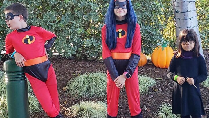 Image for Easy DIY Kid's Edna Mode Costume - no sew!