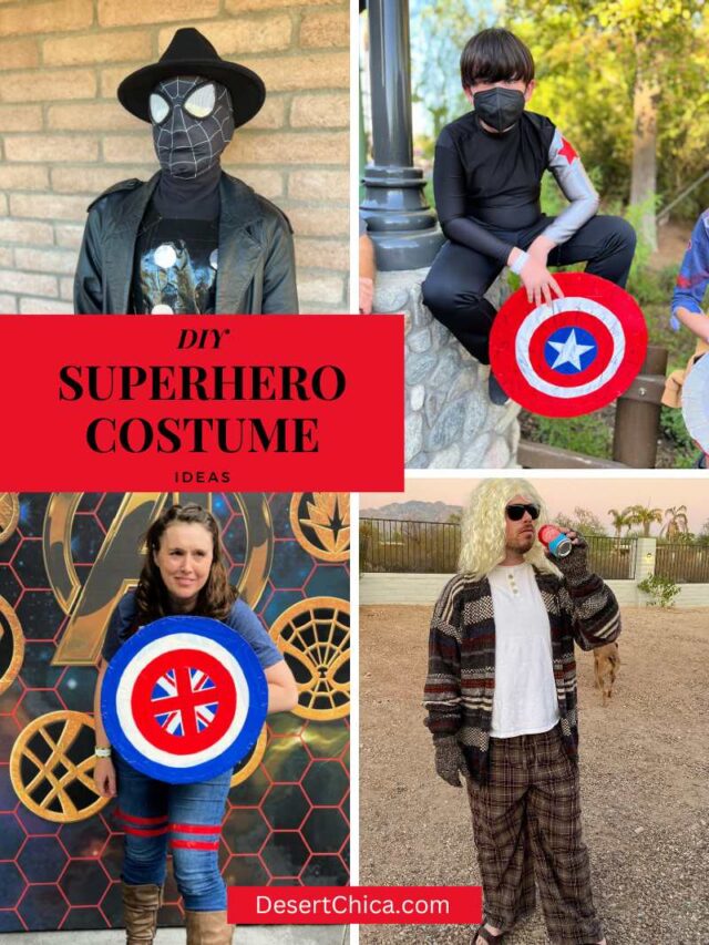 Superhero Costumes Desert Chica