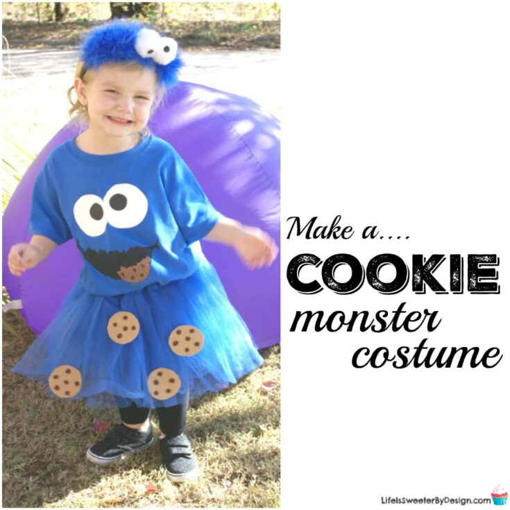 Image for How to Make a Cookie Monster Costume