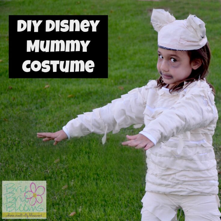 Image for DIY Disney Mummy Costume